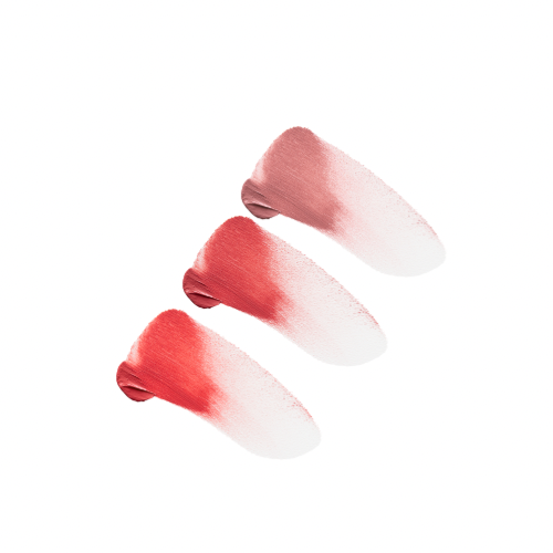 Cheek Charm Blush